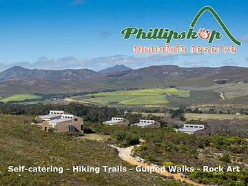Phillipskop_advert_1
